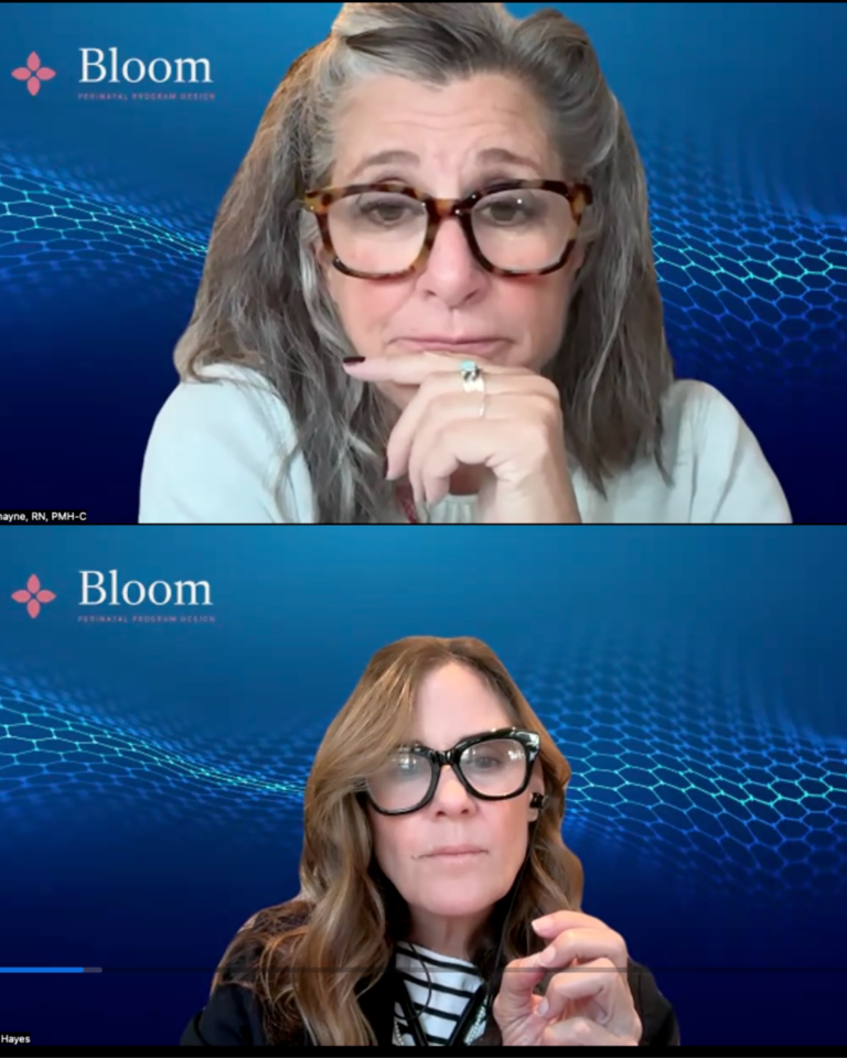 lisa and shannon on zoom for the bloom foundation